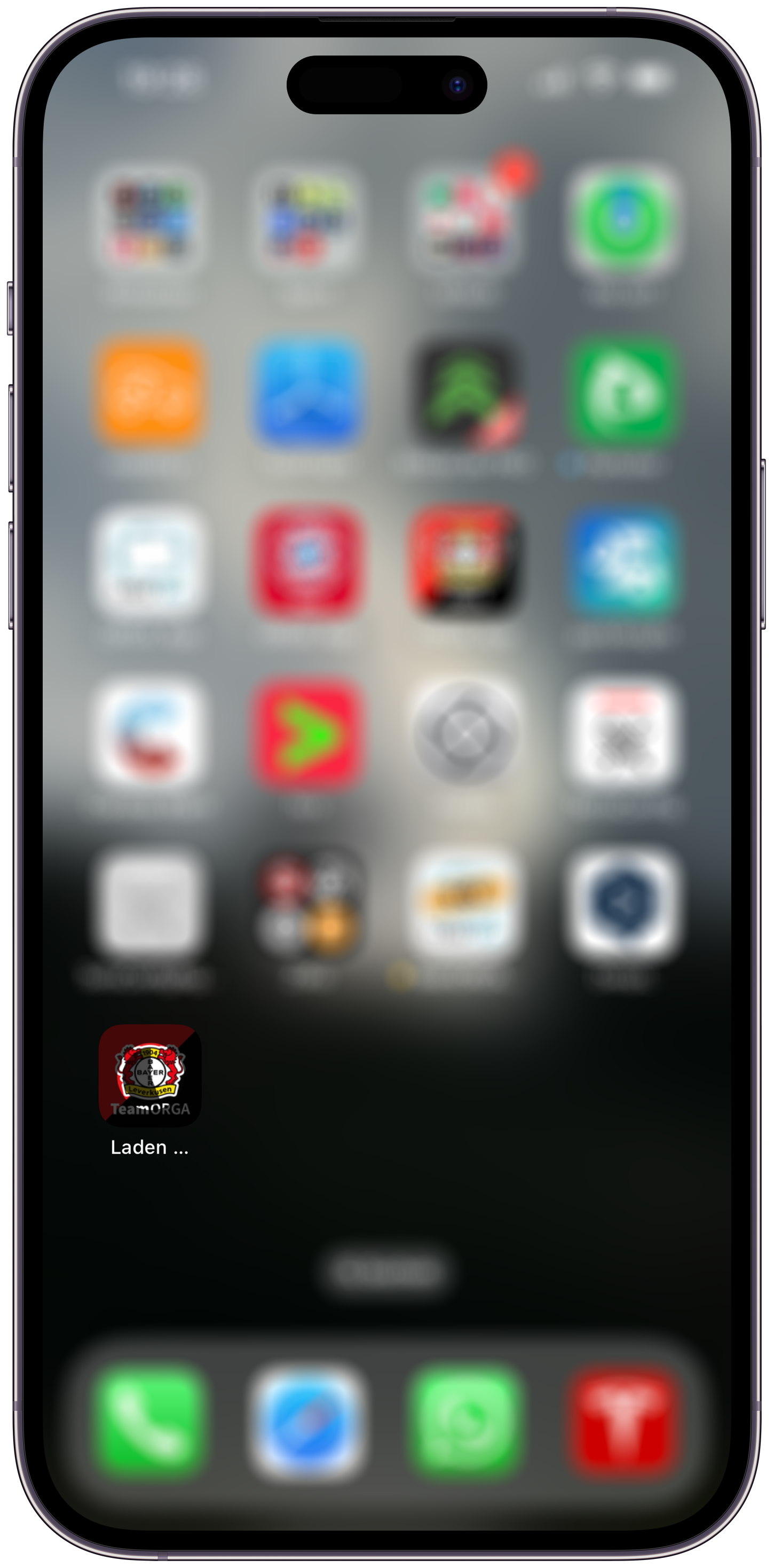 4. Installation läuft...